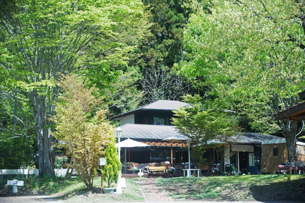 咲くカフェの夏イルミネーションの提供画像