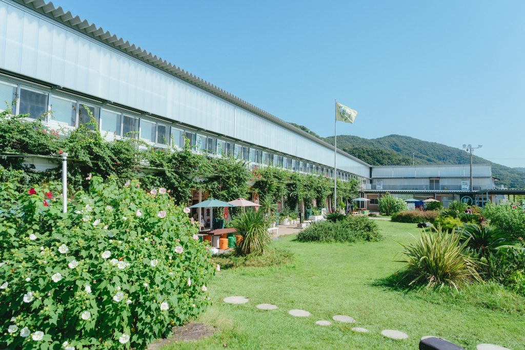 保田小学校